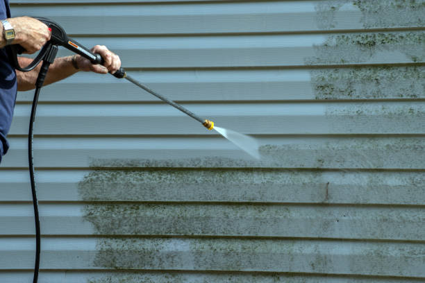 Best Patio and Deck Pressure Washing  in Morgantown, KY